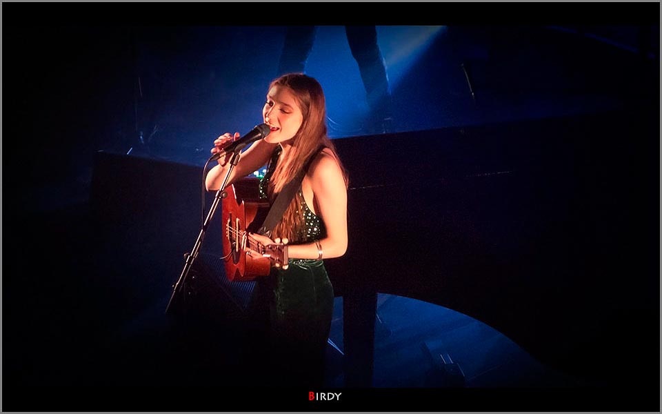 Birdy in paradiso