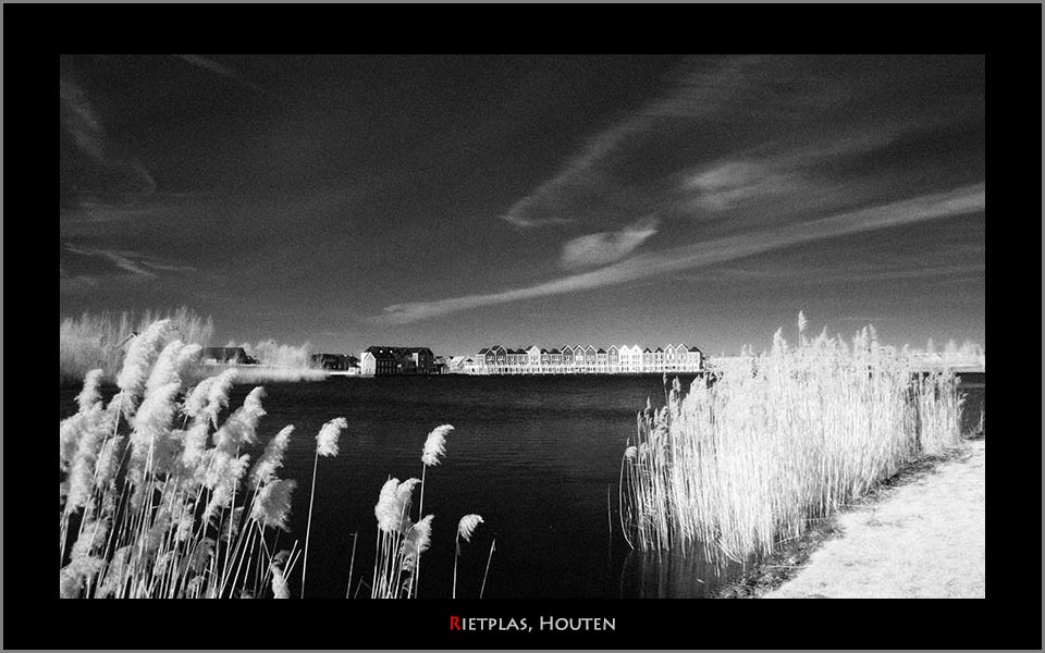 Rietplas Houten